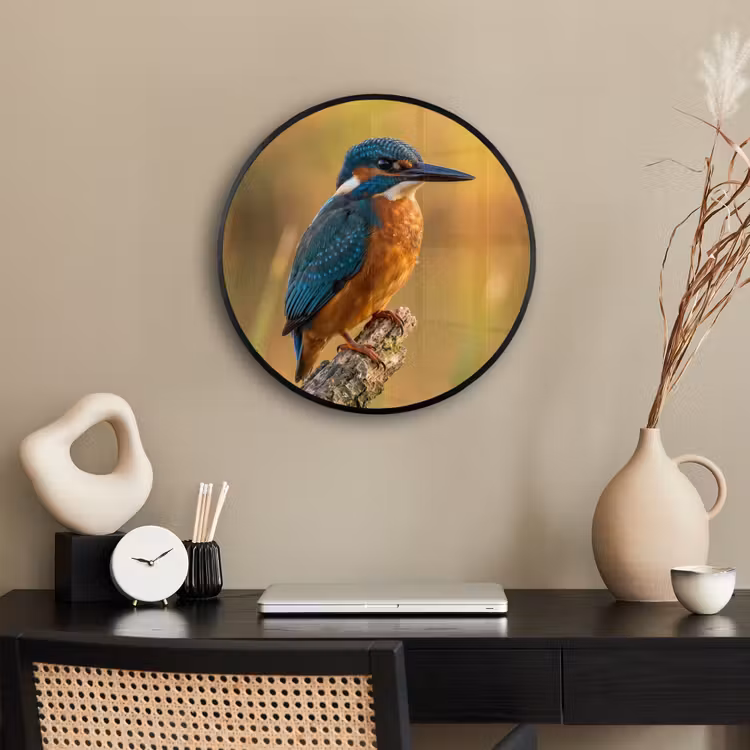 IJsvogel - Tak - Water - Kleurrijk - Levendig Fotolijst rond zonder passe partout klein -sfeer1