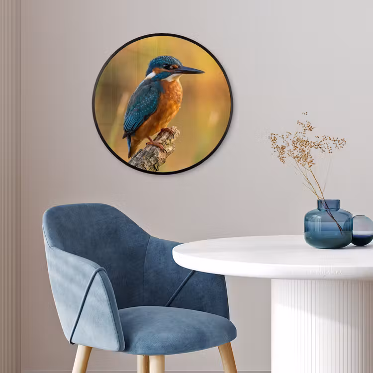 IJsvogel - Tak - Water - Kleurrijk - Levendig Fotolijst rond zonder passe partout klein -sfeer2
