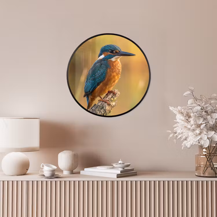 IJsvogel - Tak - Water - Kleurrijk - Levendig Fotolijst rond zonder passe partout klein -sfeer3