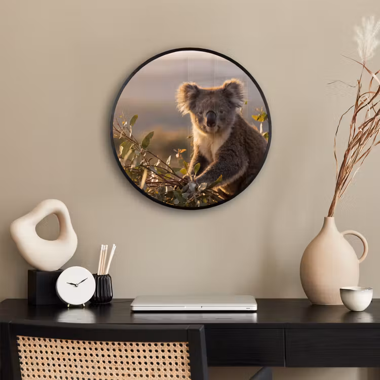 Koala - Bladeren - Ochtendlicht Fotolijst rond zonder passe partout klein -sfeer1