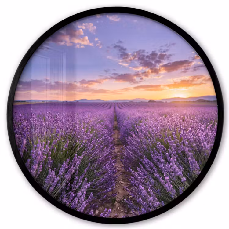 Lavendel - Veld - Natuur - Paars Fotolijst rond zonder passe partout klein -3d