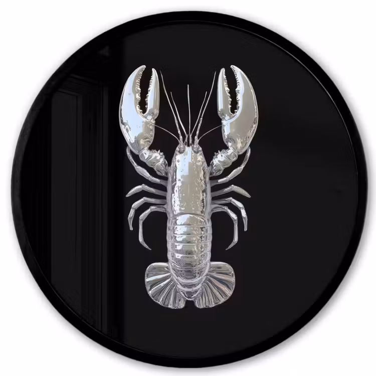 Kreeft - Zilver - Metallic - Luxe Fotolijst rond zonder passe partout klein -3d