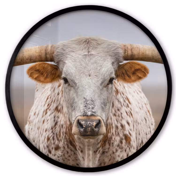 Longhorn - Grasveld - Dier Fotolijst rond zonder passe partout klein -3d