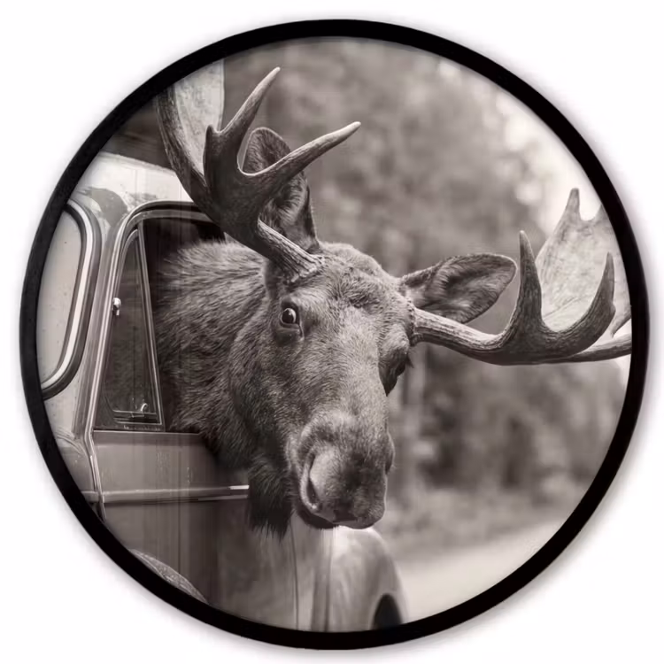 Eland - Auto - Gewei - Zwart - Wit Fotolijst rond zonder passe partout klein -3d