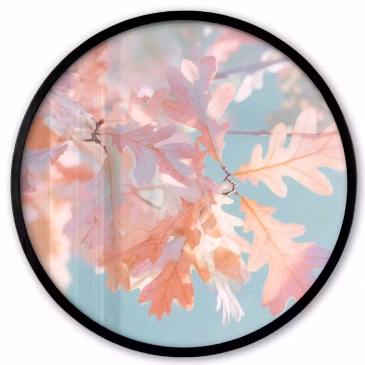 Eikenbladeren - Takken - Roze Fotolijst rond zonder passe partout klein -3d