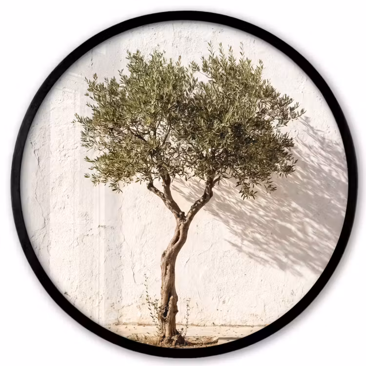 Photo Frame Round - Olive Tree - Wall - White - Olijfboom - muur - wit Fotolijst rond zonder passe partout klein
