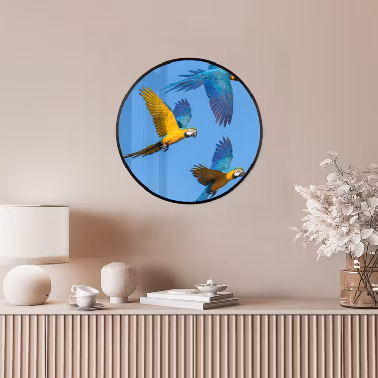 Papagaai - Vliegen - Blauw - Geel Fotolijst rond zonder passe partout klein -sfeer3