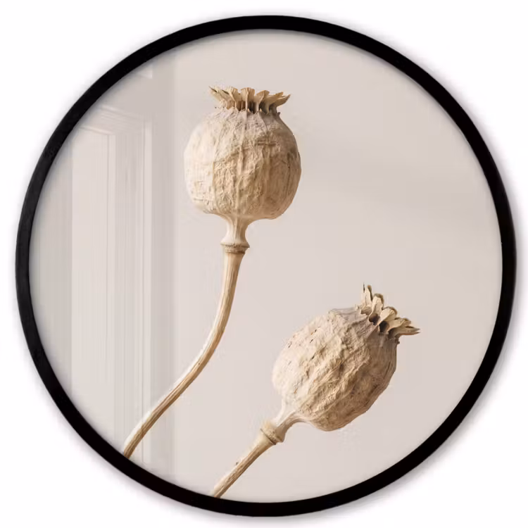 Papaverbollen - Droogbloemen - Minimalistisch - Beige - Rustig Fotolijst rond zonder passe partout klein -3d