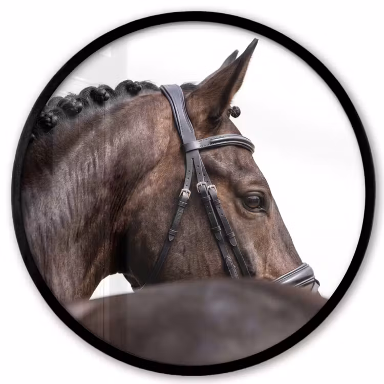 Portret - Paard - Elegant Fotolijst rond zonder passe partout klein -3d