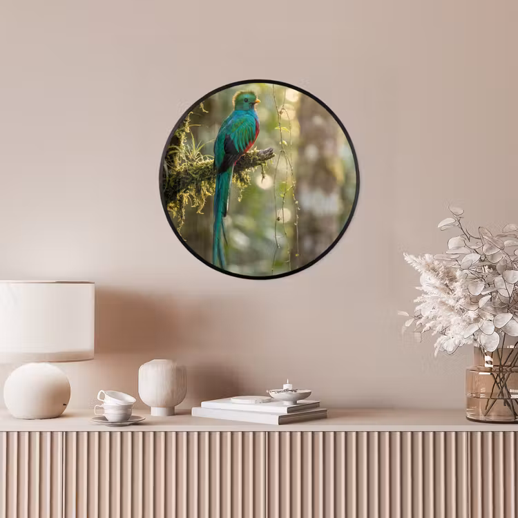 Quetzal - Jungle - Natuur - Groen Fotolijst rond zonder passe partout klein -sfeer3