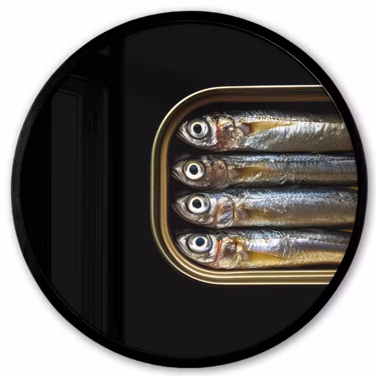 Sardines - Blik - Zwart - Vissen Fotolijst rond zonder passe partout klein -3d