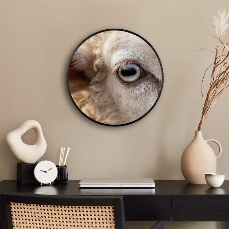 Schaap - Oog - Wit Fotolijst rond zonder passe partout klein -sfeer1