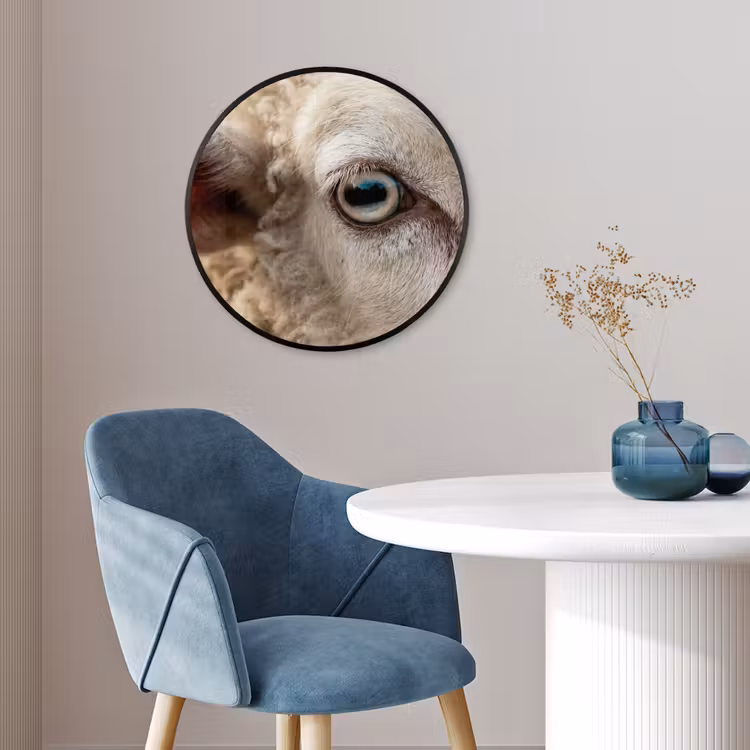 Schaap - Oog - Wit Fotolijst rond zonder passe partout klein -sfeer2