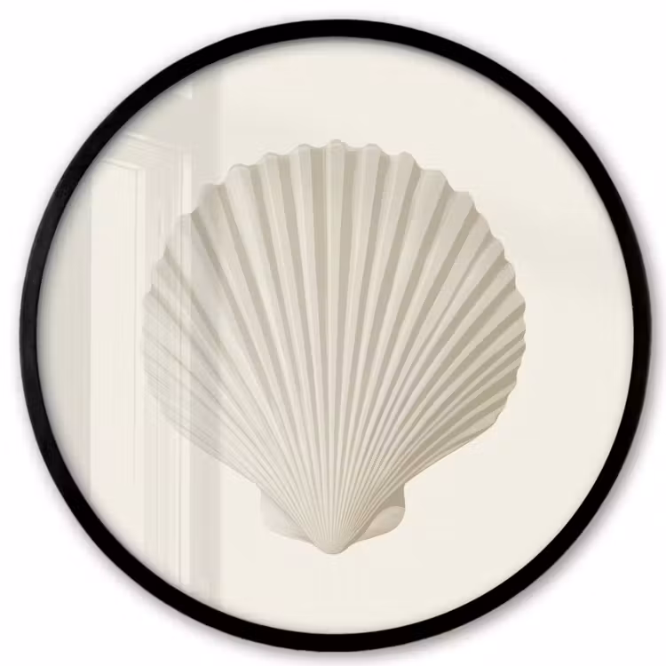 Schelp - Minimalistisch - Wit Fotolijst rond zonder passe partout klein -3d