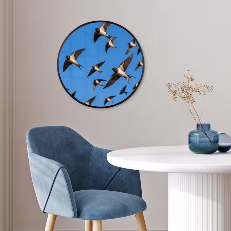 Zwaluwen - Vliegen - Blauw Fotolijst rond zonder passe partout klein -sfeer2