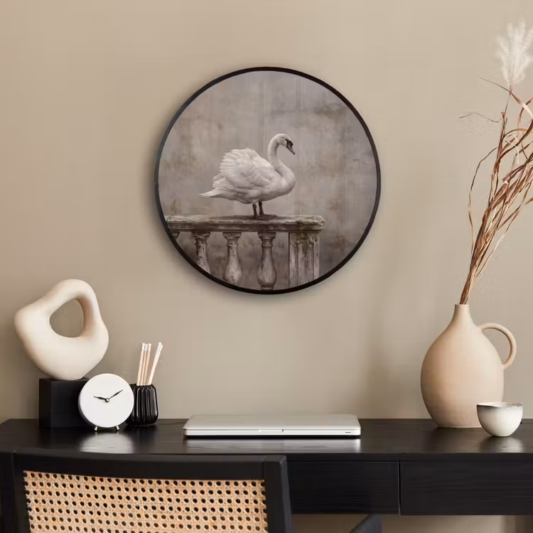 Zwaan - Elegant - Dieren - Wit Fotolijst rond zonder passe partout klein -sfeer1
