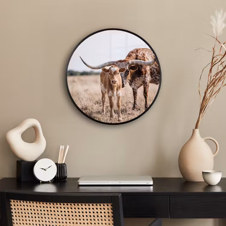 Texas Longhorn - Kalf - Weide - Dieren Fotolijst rond zonder passe partout klein -sfeer1