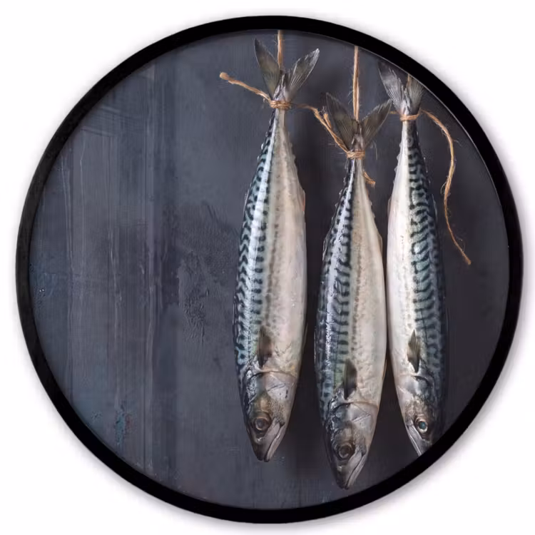 Photo Frame Round - Three Fish - Rope - Drie vissen - Touw Fotolijst rond zonder passe partout klein