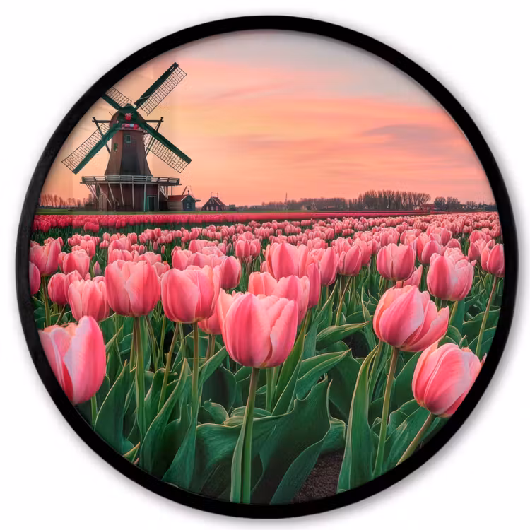 Tulpen - Molen - Nederland Fotolijst rond zonder passe partout klein -3d