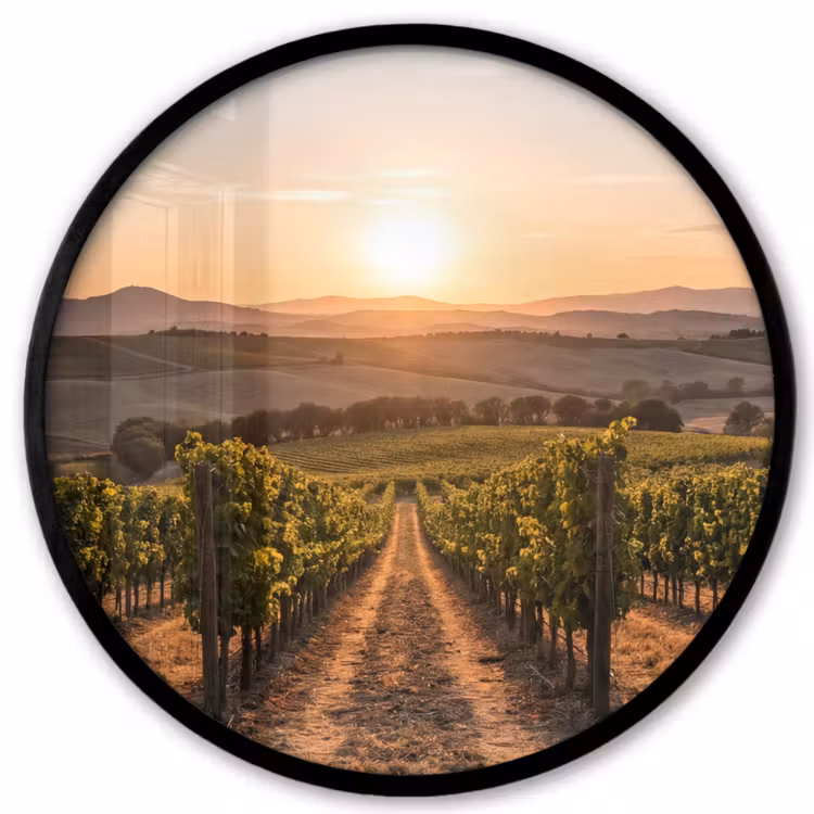 Wijngaard - Zonsondergang - Landschap Fotolijst rond zonder passe partout klein -3d