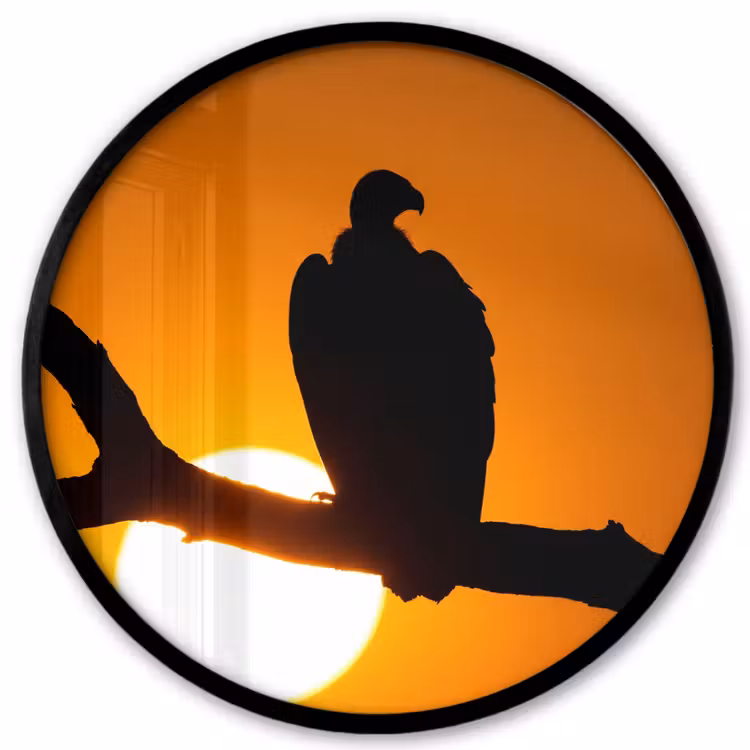 Gier - Tak - Zon - Oranje Fotolijst rond zonder passe partout klein -3d