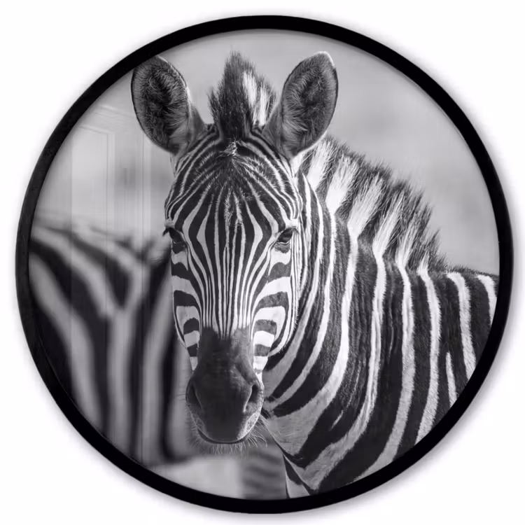 Zebra's - Zwart - Wit Fotolijst rond zonder passe partout klein -3d
