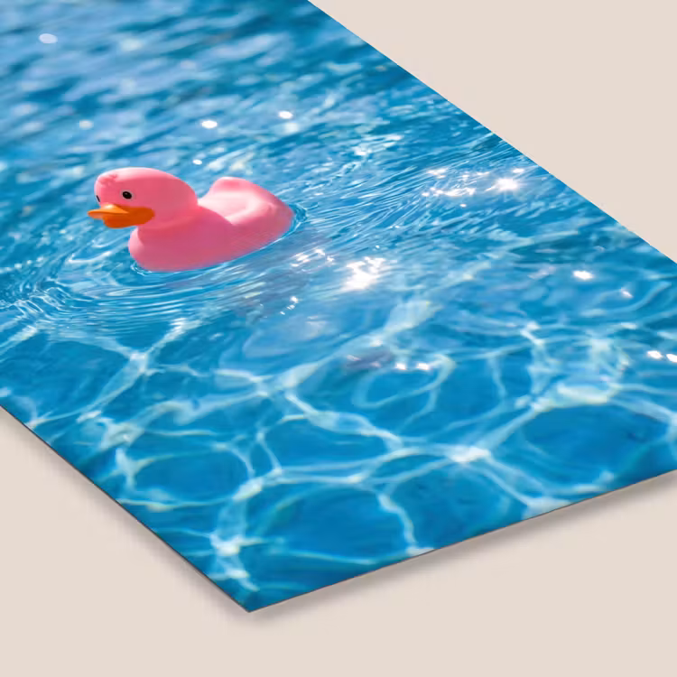 Badeend - Dobberend - Roze fotolijst zwart zonder passe partout klein -zsfeer6