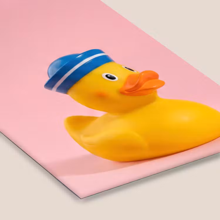 Matroos - Eend - Roze fotolijst zwart zonder passe partout klein -zsfeer6