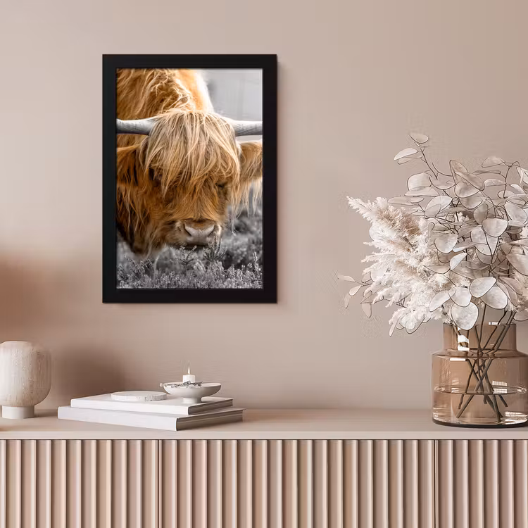 Schotse Hooglander - Dieren - Bruin - Koe - Zwart - Wit - Natuur fotolijst zwart zonder passe partout klein -sfeer5
