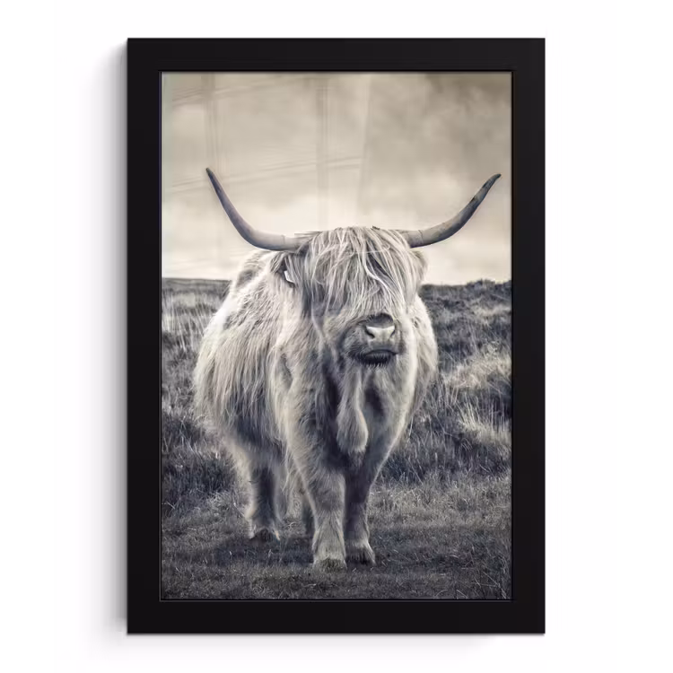 Schotse hooglander - Dieren - Wolken - Koe - Natuur fotolijst zwart zonder passe partout klein -3d
