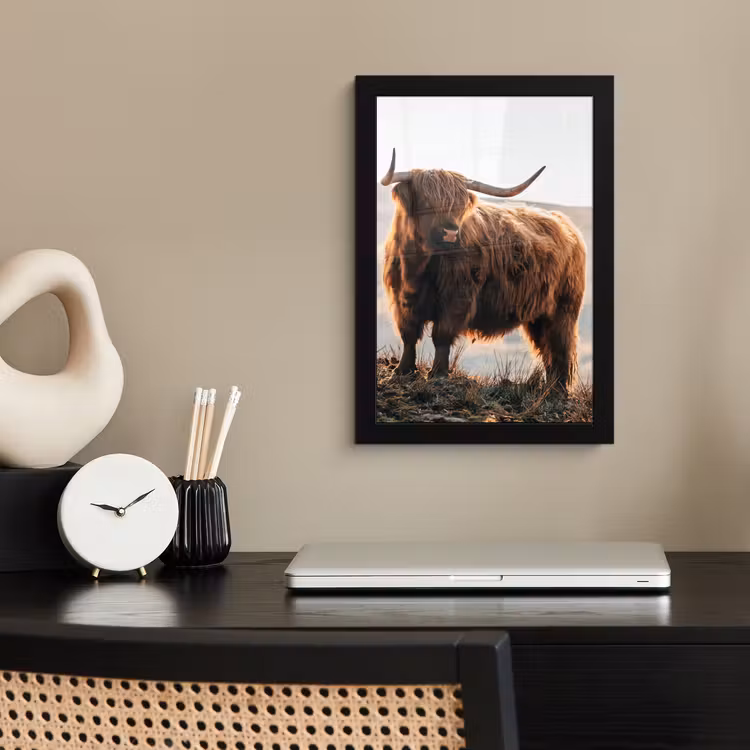 Schotse hooglander - Dieren - Landelijk - Landschap - Koe - Natuur fotolijst zwart zonder passe partout klein -sfeer1