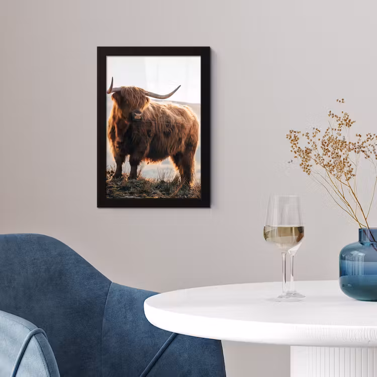 Schotse hooglander - Dieren - Landelijk - Landschap - Koe - Natuur fotolijst zwart zonder passe partout klein -sfeer4