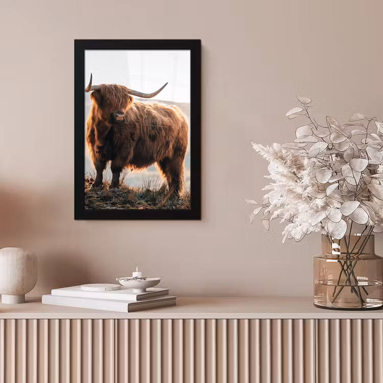 Schotse hooglander - Dieren - Landelijk - Landschap - Koe - Natuur fotolijst zwart zonder passe partout klein -sfeer5