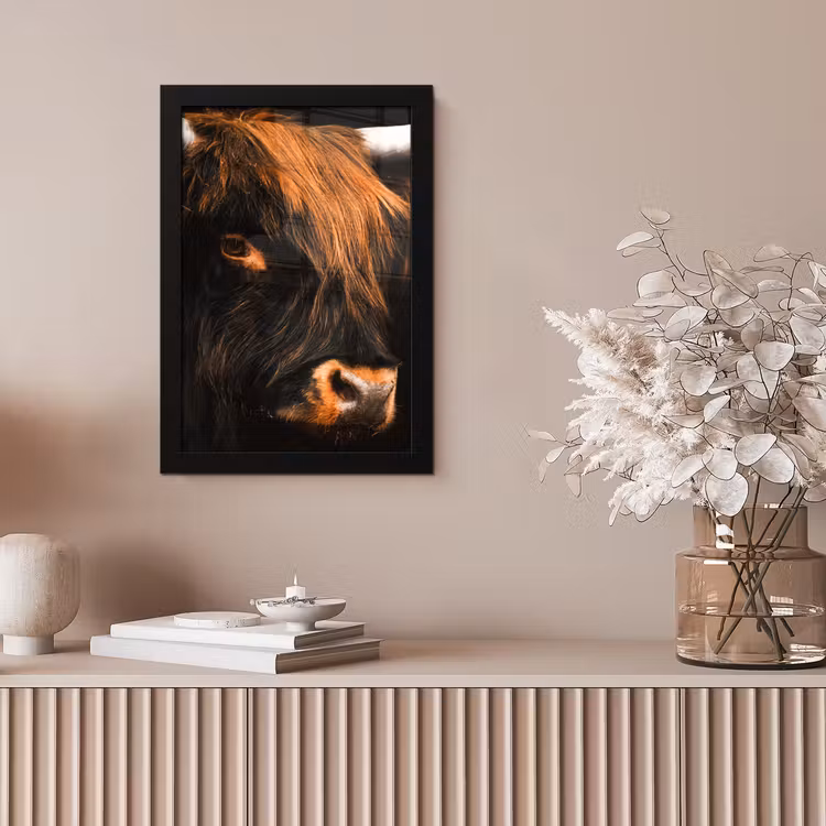 Schotse hooglander - Zwart - Koe - Hoorn - Dieren fotolijst zwart zonder passe partout klein -sfeer5
