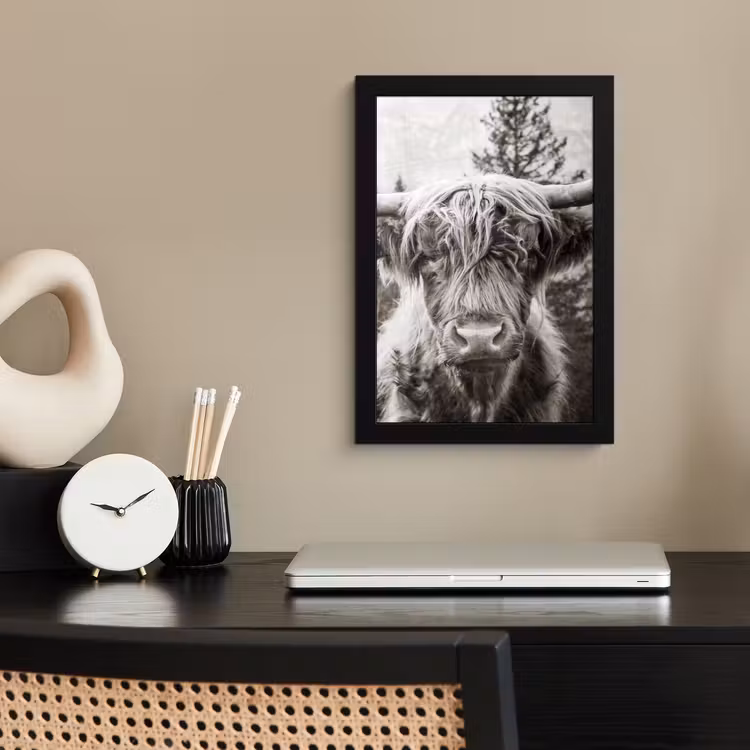 Schotse hooglander - Koe - Dieren - Zwart - Wit fotolijst zwart zonder passe partout klein -sfeer1