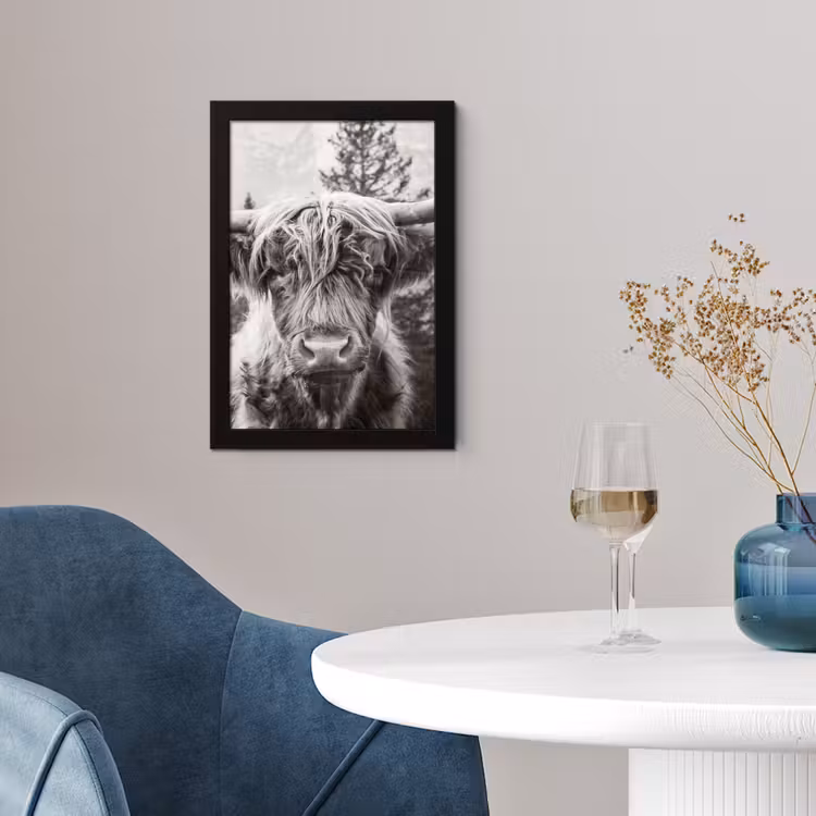 Schotse hooglander - Koe - Dieren - Zwart - Wit fotolijst zwart zonder passe partout klein -sfeer4
