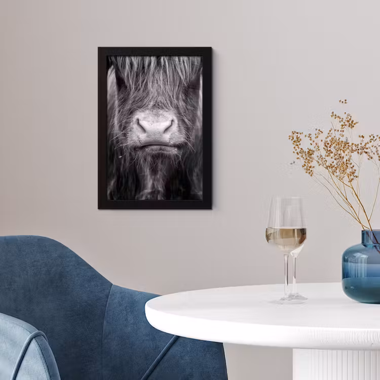 Schotse hooglander - Koe - Zwart - Wit - Dieren fotolijst zwart zonder passe partout klein -sfeer4