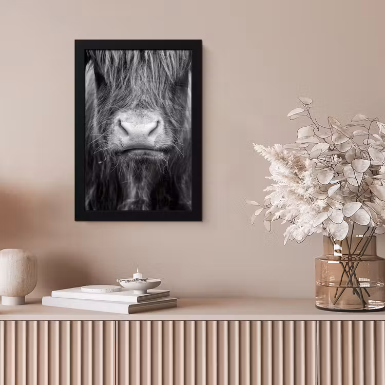Schotse hooglander - Koe - Zwart - Wit - Dieren fotolijst zwart zonder passe partout klein -sfeer5