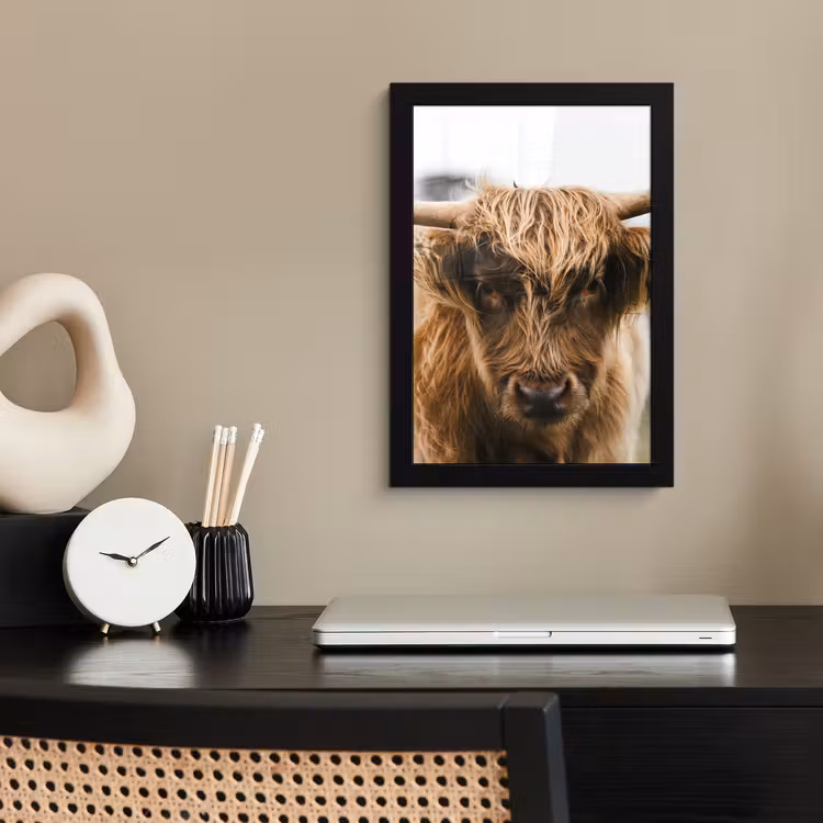 Schotse Hooglander -  Koe - Gras - Dieren - Natuur fotolijst zwart zonder passe partout klein -sfeer1