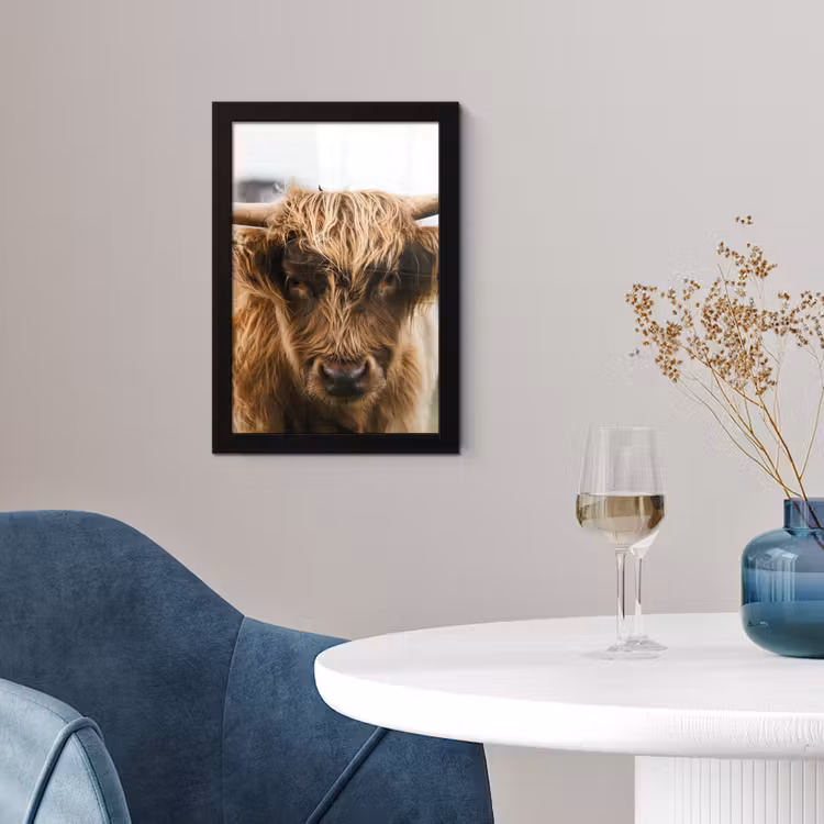 Schotse Hooglander -  Koe - Gras - Dieren - Natuur fotolijst zwart zonder passe partout klein -sfeer4