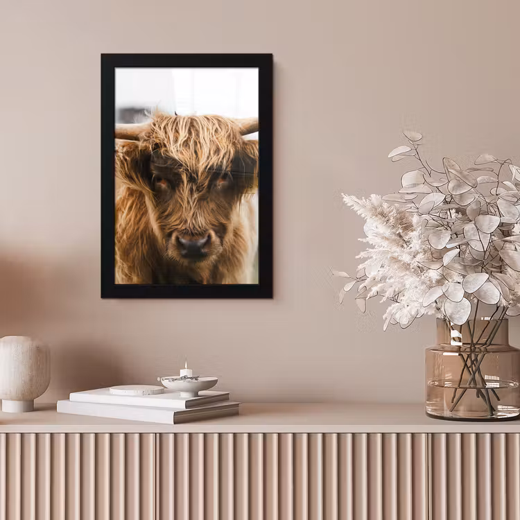 Schotse Hooglander -  Koe - Gras - Dieren - Natuur fotolijst zwart zonder passe partout klein -sfeer5