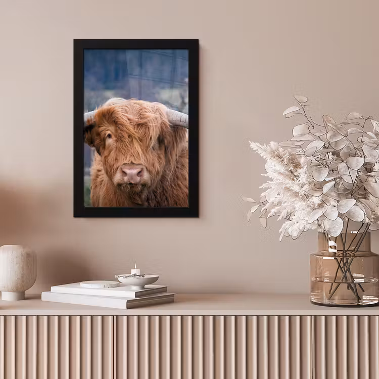 Schotse Hooglander - Koeienkop - Landschap - Natuur - Koe fotolijst zwart zonder passe partout klein -sfeer5