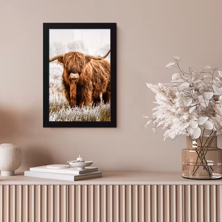 Schotse hooglander - Koe - Natuur - Winter fotolijst zwart zonder passe partout klein -sfeer5