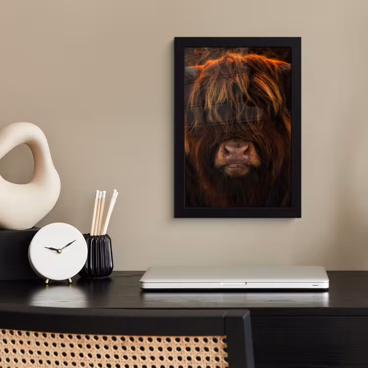 Schotse Hooglander - Koe - Portret - Dieren fotolijst zwart zonder passe partout klein -sfeer1