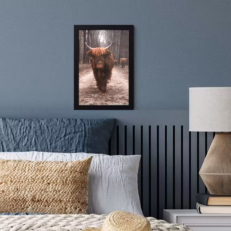 Schotse hooglander - Bos - Koe - Dieren - Natuur fotolijst zwart zonder passe partout klein -sfeer3