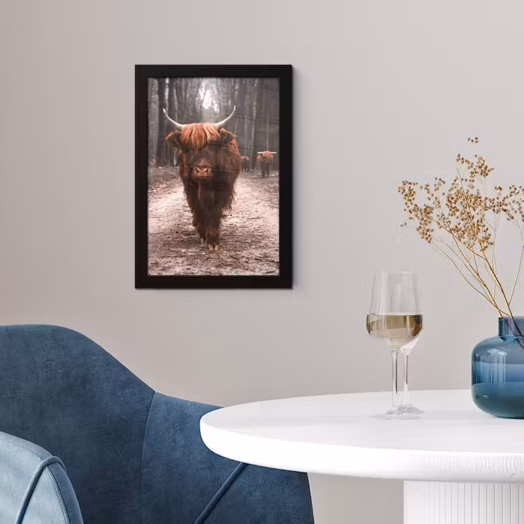 Schotse hooglander - Bos - Koe - Dieren - Natuur fotolijst zwart zonder passe partout klein -sfeer4