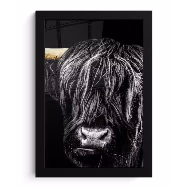 Schotse hooglander - Goud - Vacht - Dieren - Koe fotolijst zwart zonder passe partout klein -3d