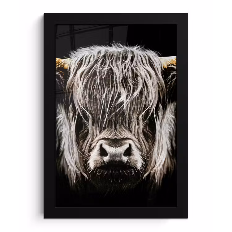 Schotse hooglander - Goud - Hoorns - Zwart wit - Koe - Dieren fotolijst zwart zonder passe partout klein -3d