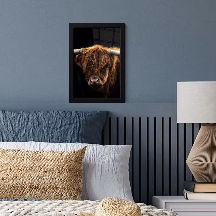 Schotse Hooglander - Horens - Zwart - Dieren - Natuur - Wild - Koe fotolijst zwart zonder passe partout klein -sfeer3