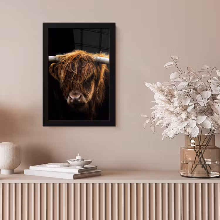 Schotse Hooglander - Horens - Zwart - Dieren - Natuur - Wild - Koe fotolijst zwart zonder passe partout klein -sfeer5